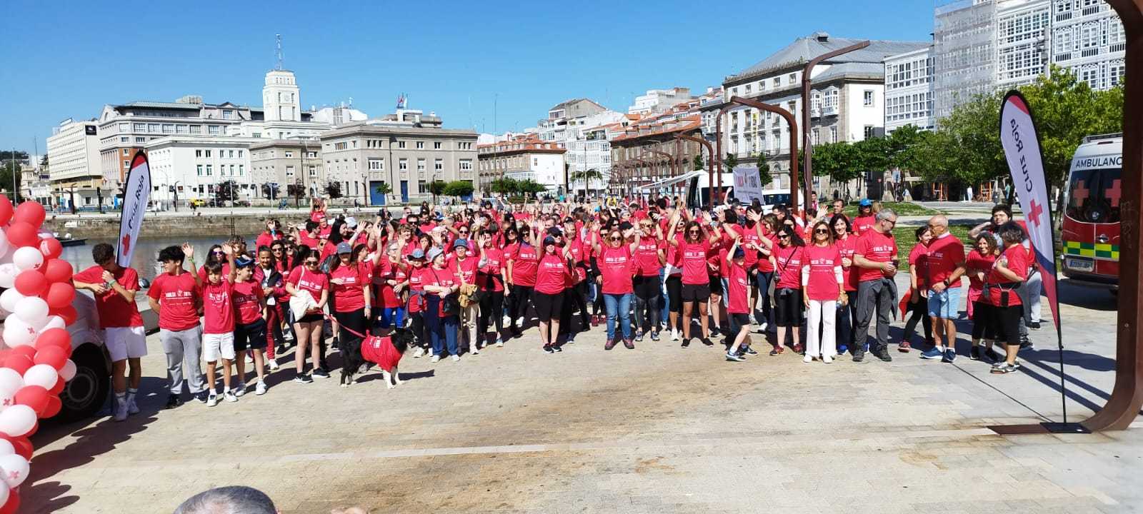 Visor andaina solidaria