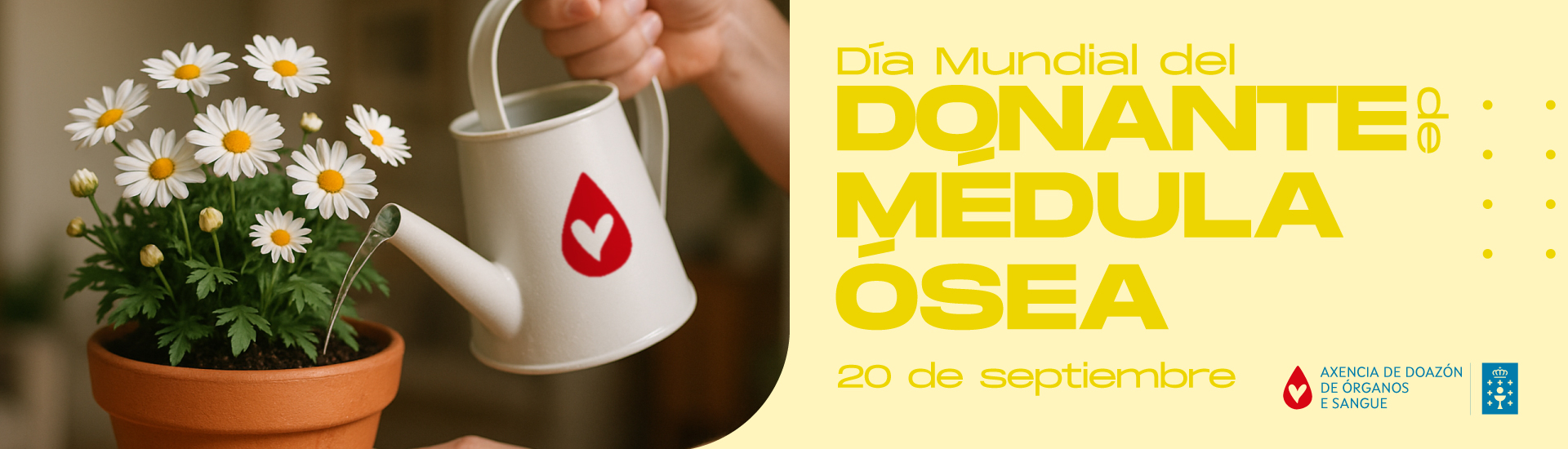 Visor Día mundial del donante de médula osea 2025