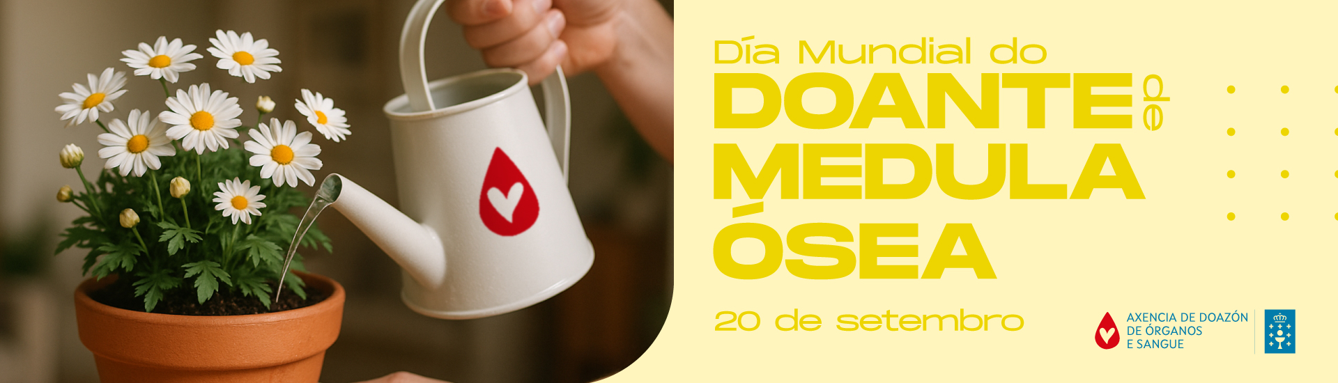 Visor Día mundial do doante de médula osea 2025
