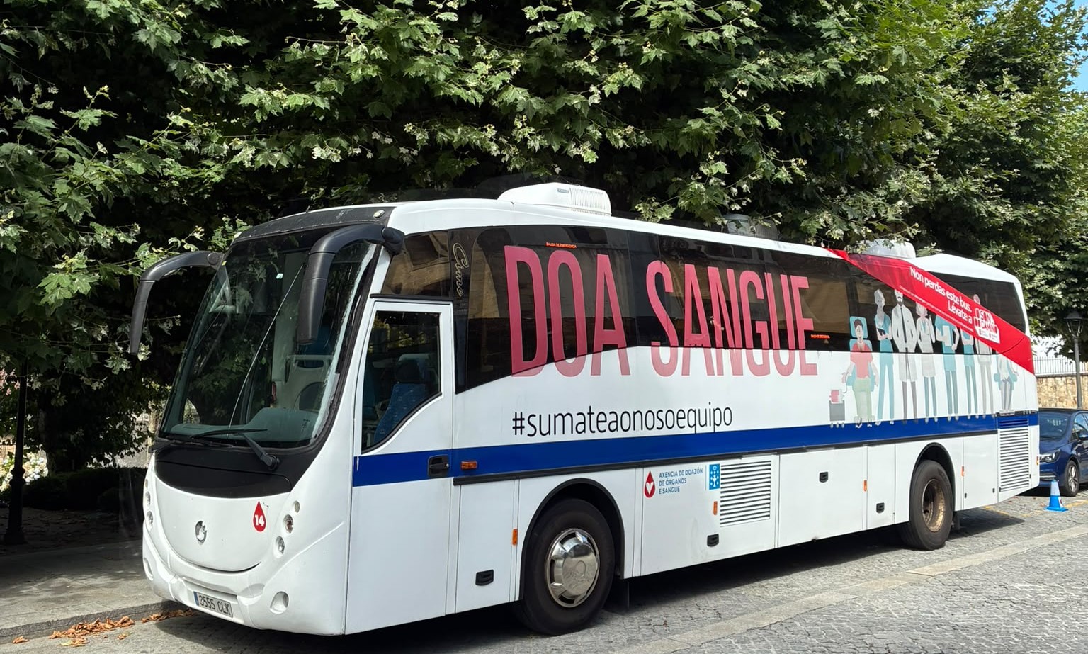 Visor CAMPAÑA DE DOAZÓN DE SANGUE DA ADOS